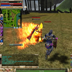 Knight Online Screenshot 4
